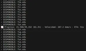 Imagen de ejemplo del proyecto Domain Finder